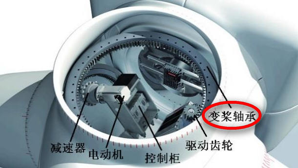 2O24管家婆一码一肖资料